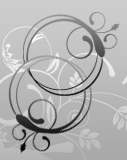 Profilbild Sefa Hillebrand